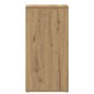 vidaXL Ντουλάπια παπουτσιών 2 τεμ Artisan Oak 32x35x70 cm