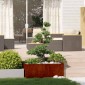 vidaXL Ζαρντινιέρα 100x100x40 εκ. Ατσάλι Σκληρυθέν στον Αέρα