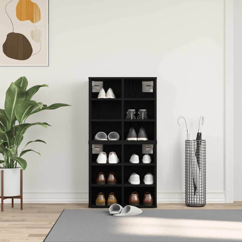 vidaXL Ντουλάπα Παπουτσιών 2 τμχ. 52 x 30 x 50,5 εκ. Μαύρη Οξυά
