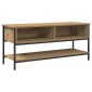 vidaXL Σετ επίπλου τηλεόρασης 100 x 35 x 45 εκ. Artisan Oak
