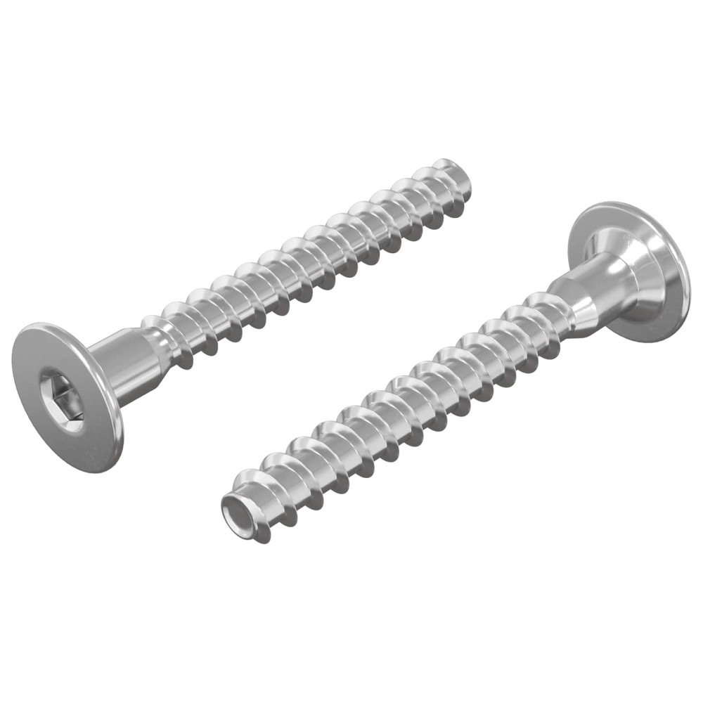 vidaXL Βίδες Επιβεβαίωσης 2 τεμ. Ασημί Ø5 x 40 mm Μέταλλο