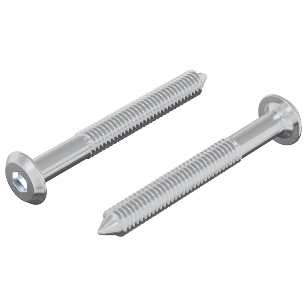 vidaXL Βίδα 2 τμχ. Ασημί M6 x 50 mm Ατσάλι