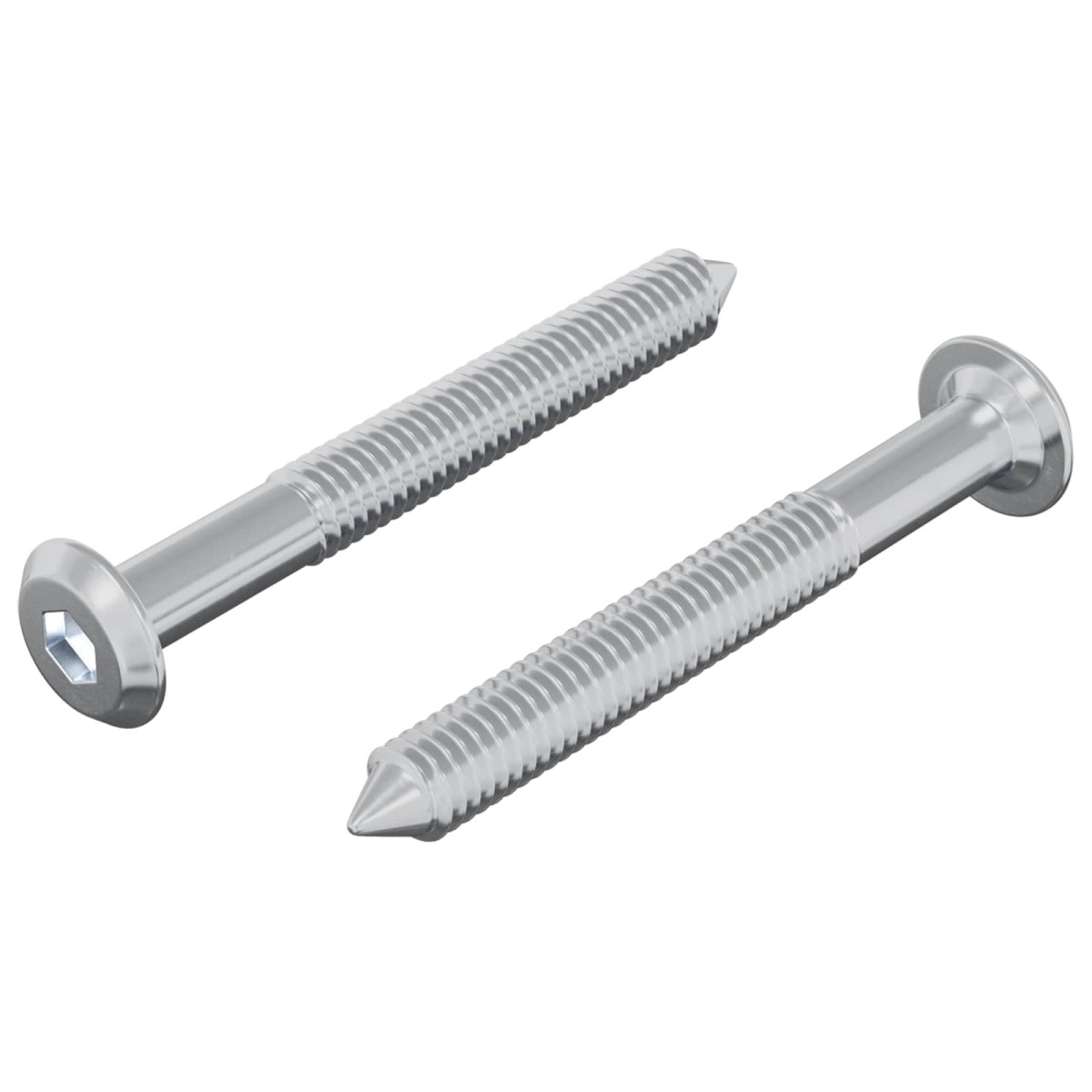 vidaXL Βίδα 2 τμχ. Ασημί M6 x 50 mm Ατσάλι