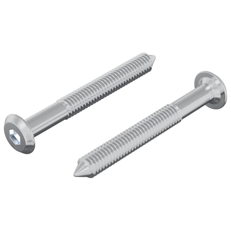 vidaXL Βίδα 2 τμχ. Ασημί M6 x 50 mm Ατσάλι