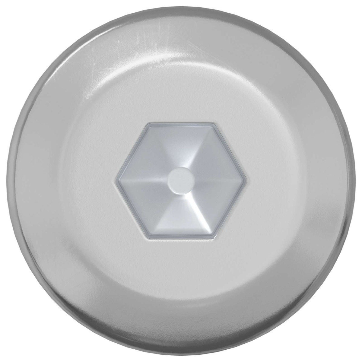 vidaXL Βίδα 2 τμχ. Ασημί M6 x 120 mm Ατσάλι