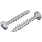 vidaXL Βίδα 2 τεμ. Ασημί 9,8 x 35 mm Σίδερο