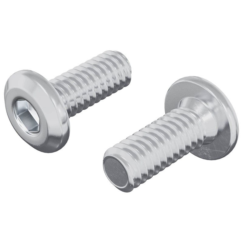 vidaXL Βίδα με κλειδί κεφαλής 2 τμχ. Ασημί M6 x 15 mm Ατσάλι