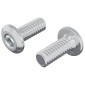 vidaXL Βίδα με κλειδί κεφαλής 2 τμχ. Ασημί M6 x 15 mm Ατσάλι