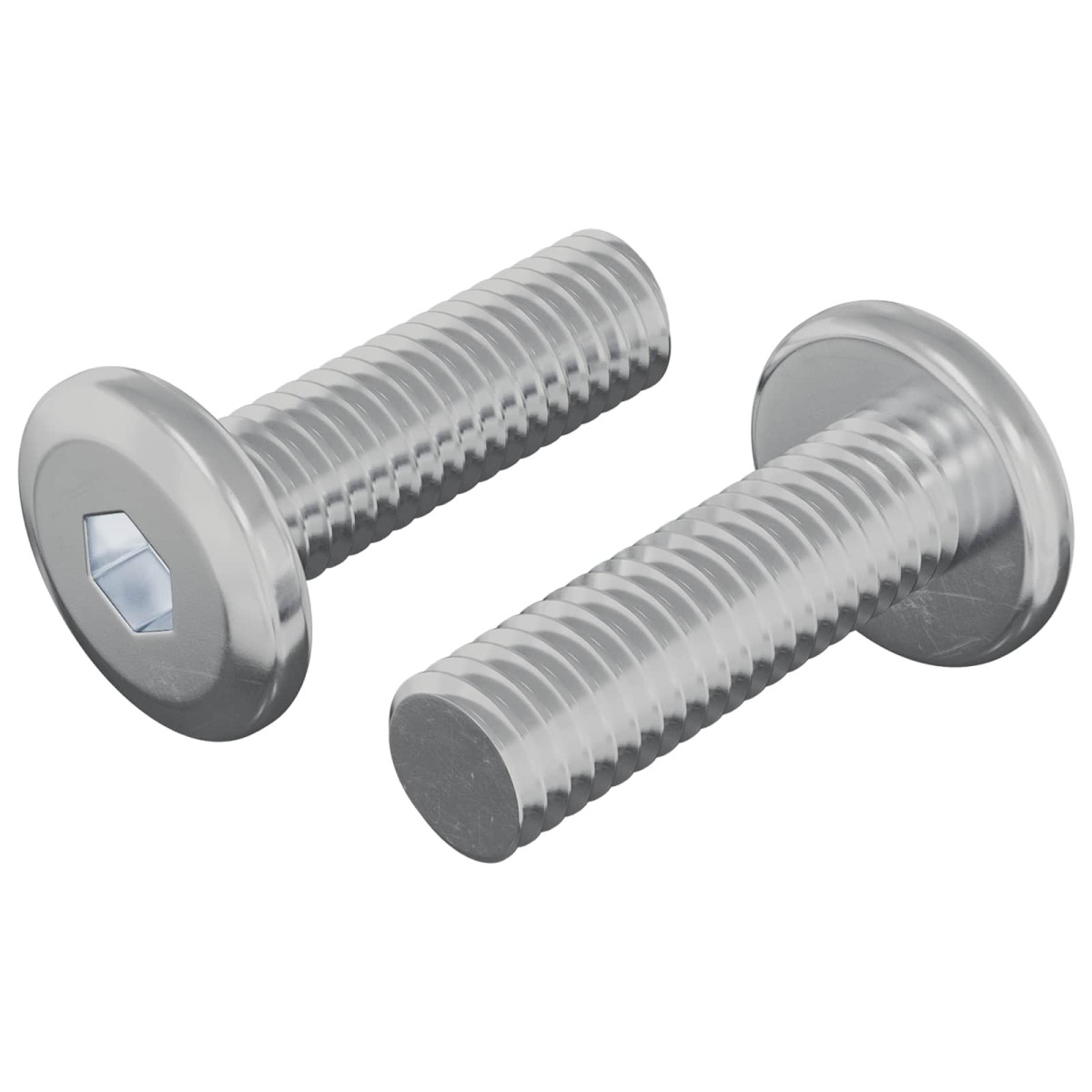vidaXL Βίδα 2 τεμ. Ασημί 8 x 25 mm Ατσάλι