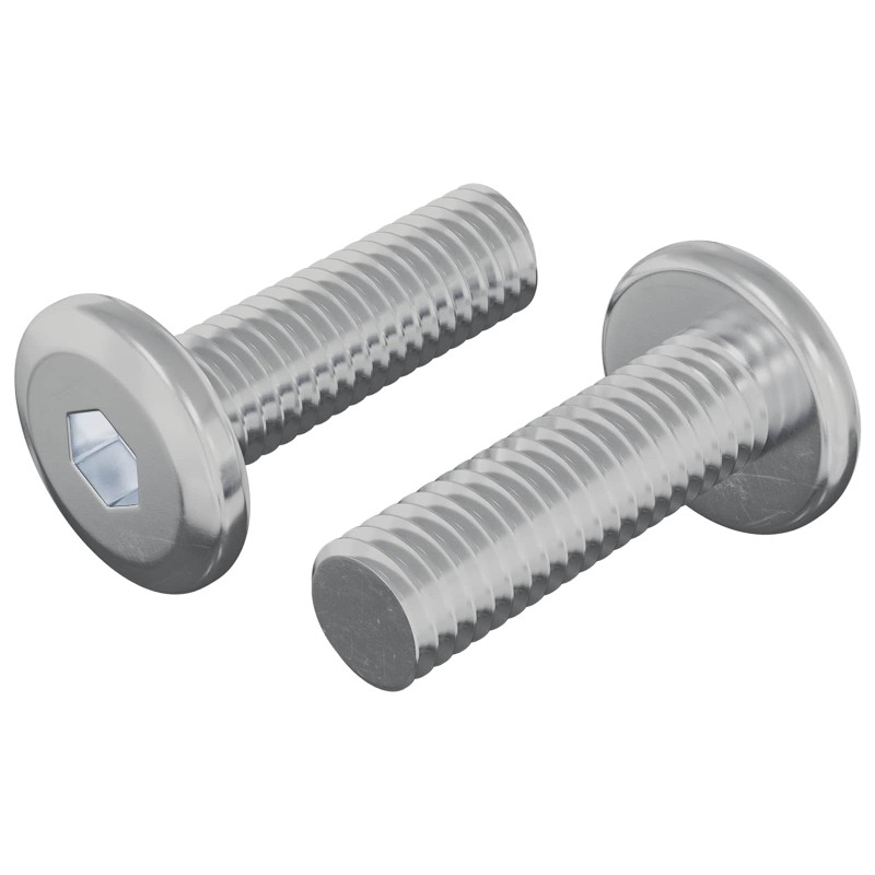 vidaXL Βίδα 2 τεμ. Ασημί 8 x 25 mm Ατσάλι