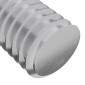 vidaXL Βίδα 2 τεμ. Ασημί 8 x 25 mm Ατσάλι