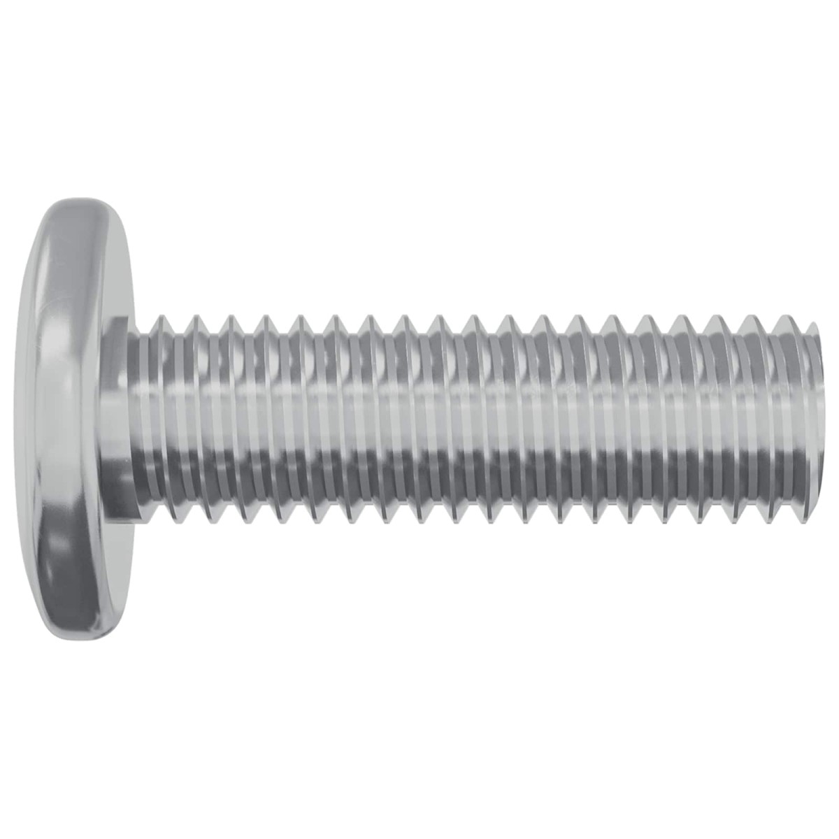 vidaXL Βίδα 12 τεμ. Ασημί 8 x 25 mm Ατσάλι