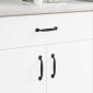 vidaXL Χειριστήριο Επίπλου 250 τμχ. Μαύρο 130 x 19,4 x 22,3 χιλ.
