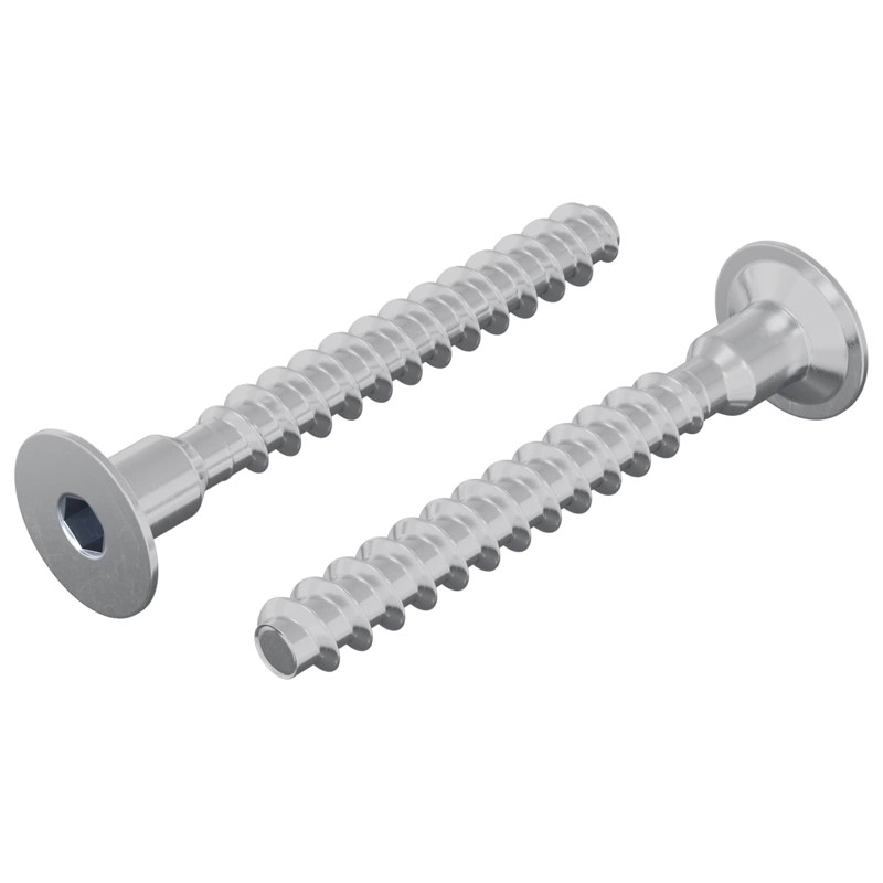 vidaXL Βίδα 2 τμχ. Επικαλυμμένο με ψευδάργυρο 5 x 40 mm Σίδερο