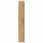 vidaXL Βιτρίνα Επιτοίχιο Artisan Oak 60 x 8,5 x 58 εκ