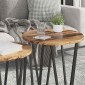 vidaXL Σετ βοηθητικά τραπεζάκια 2 τμχ. Παλιό ξύλο και μαύρο