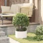 vidaXL Δακτύλιος γλάστρας Λευκό 30 x 30 x 20 cm Ψυχρής έλασης χάλυβας