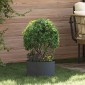 vidaXL Δακτύλιος γλάστρας Ανθρακί 30 x 30 x 20 cm