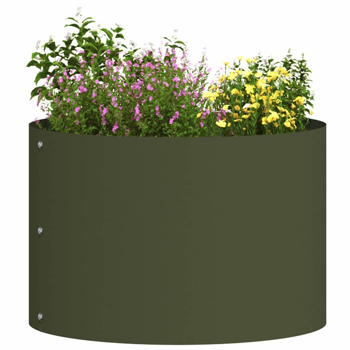 vidaXL Δακτύλιος γλάστρας Ελιά Πράσινη 30 x 30 x 20 cm