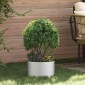 vidaXL Δακτύλιος γλάστρας Ασημί 30 x 30 x 20 cm Επικαλυμμένος Χάλυβας
