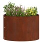 vidaXL Δακτύλιος γλάστρας Σκ rusty 30 x 30 x 20 cm