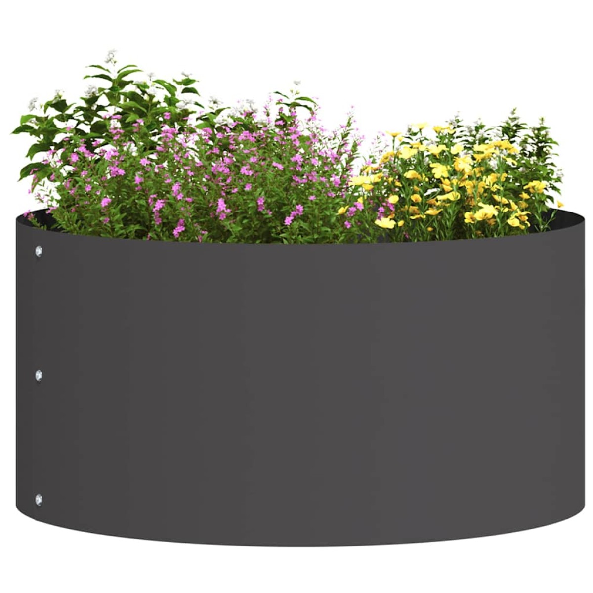 vidaXL Δακτύλιος γλάστρας Μαύρο 40 x 40 x 20 cm Ψυχρής έλασης χάλυβας