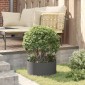 vidaXL Δακτύλιος γλάστρας Μαύρο 40 x 40 x 20 cm Ψυχρής έλασης χάλυβας