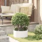 vidaXL Δακτύλιος γλάστρας Λευκό 40 x 40 x 20 cm Ψυχρής έλασης χάλυβας
