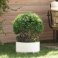 vidaXL Δακτύλιος γλάστρας Λευκό 40 x 40 x 20 cm Ψυχρής έλασης χάλυβας