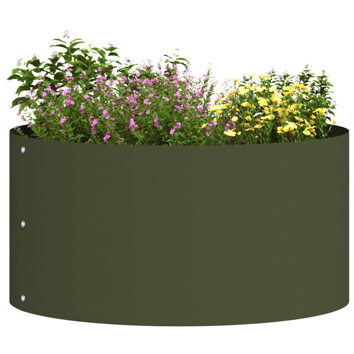 vidaXL Δακτύλιος γλάστρας Ελιά Πράσινη 40 x 40 x 20 cm