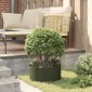 vidaXL Δακτύλιος γλάστρας Ελιά Πράσινη 40 x 40 x 20 cm