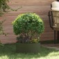 vidaXL Δακτύλιος γλάστρας Ελιά Πράσινη 40 x 40 x 20 cm