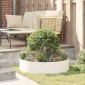 vidaXL Δακτύλιος γλάστρας Λευκό 80 x 80 x 20 cm Ψυχρής έλασης χάλυβας