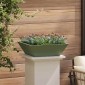 vidaXL Γλάστρα Κήπου Ελιά Πράσινη 50 x 50 x 15 cm