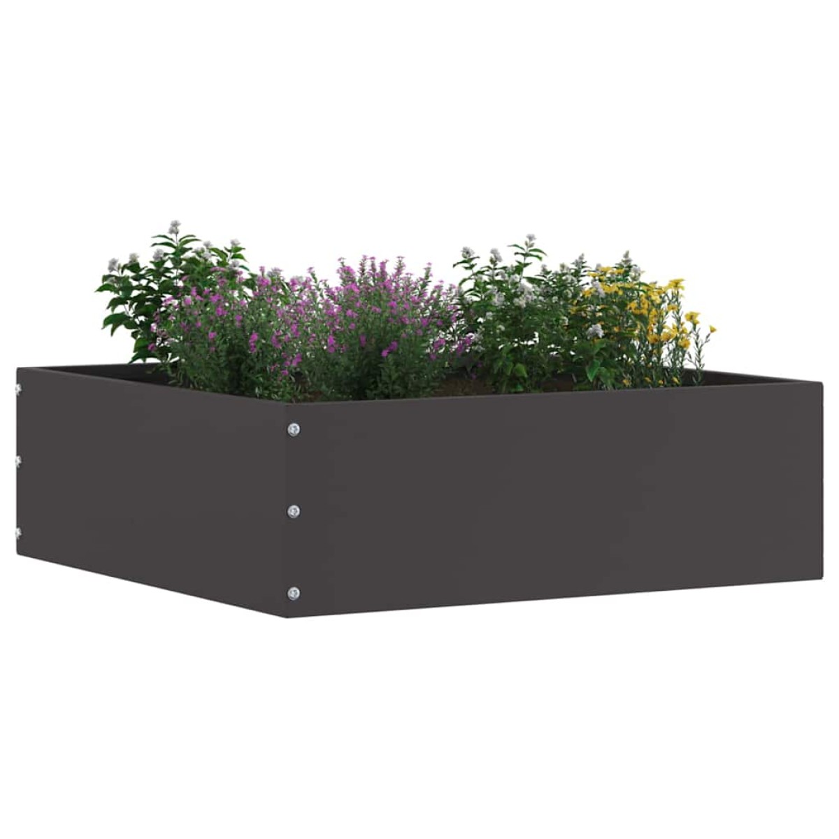 vidaXL Περίγραμμα γκαζόν 40 x 40 x 13 cm Ατσάλι Μαύρο