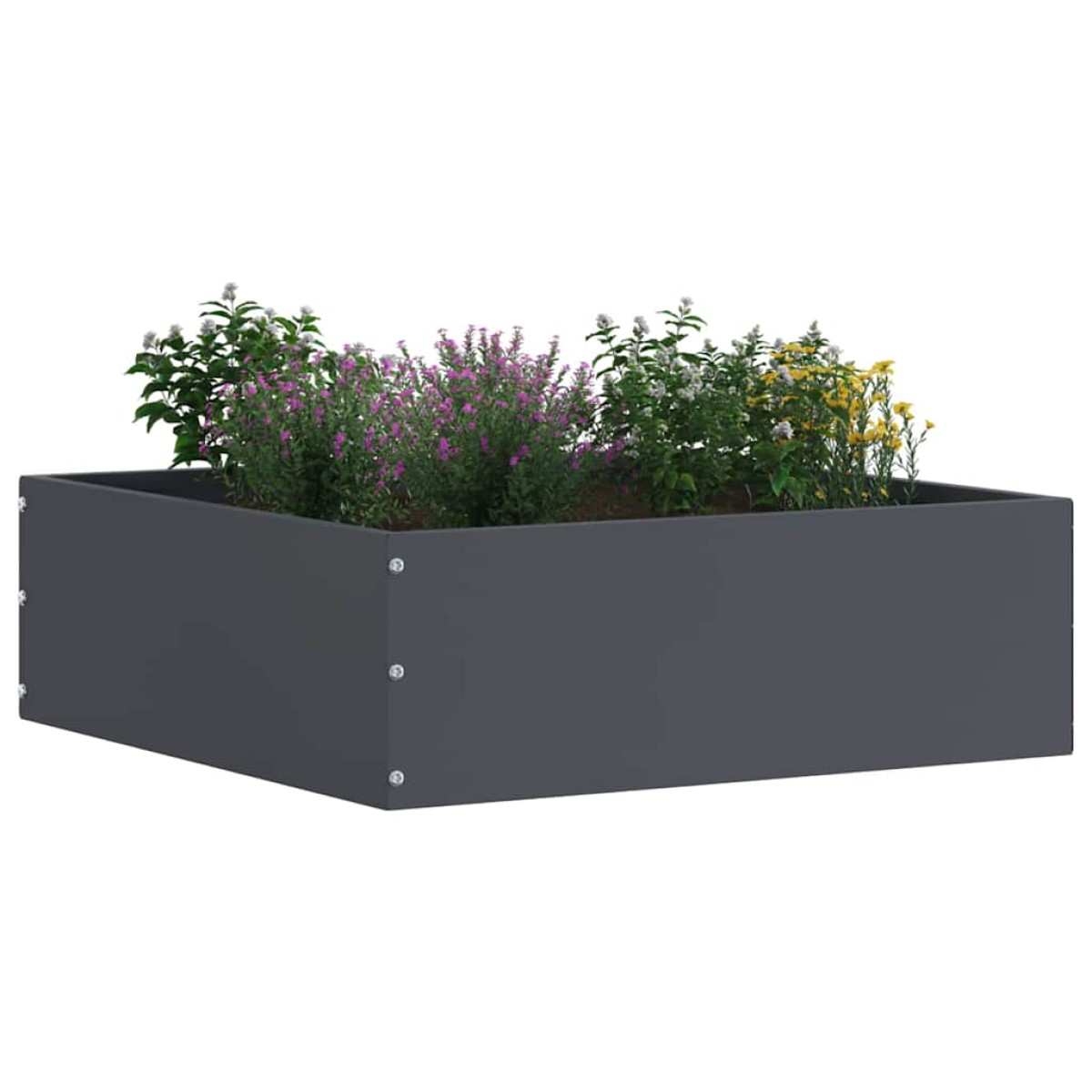 vidaXL Περίγραμμα γκαζόν 40 x 40 x 13 cm Ατσάλι Ανθρακί