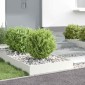 vidaXL Περίγραμμα γκαζόν 60 x 60 x 13 εκ Ατσάλι Λευκό