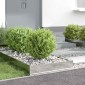 vidaXL Περίγραμμα γκαζόν 60 x 60 x 13 εκ Ανοξείδωτο Ατσάλι Ασημί