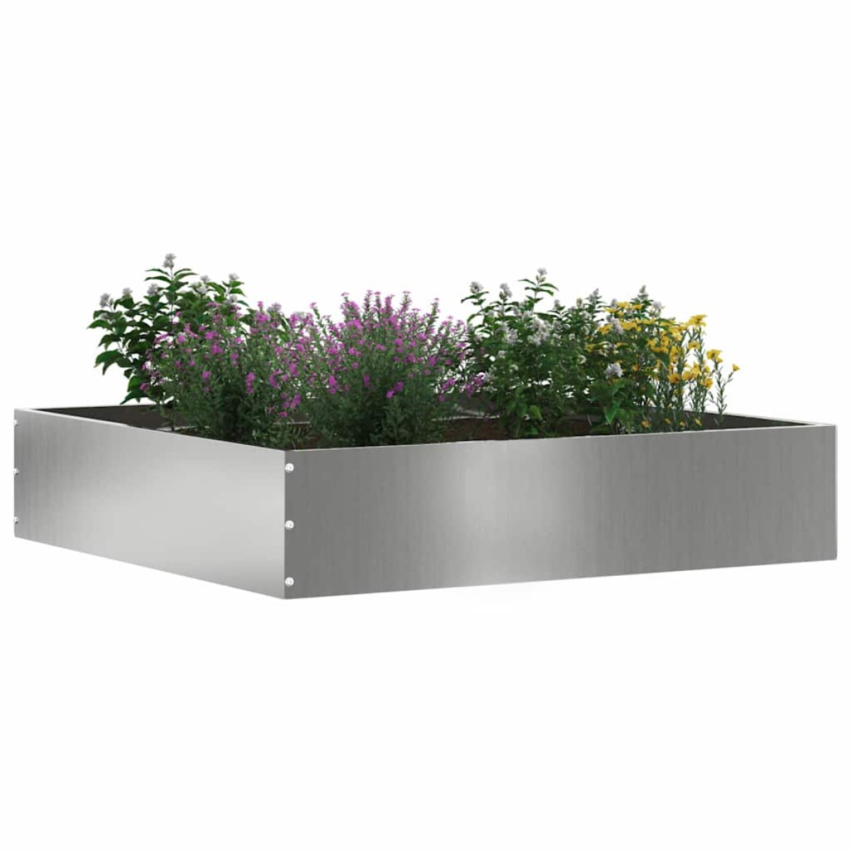 vidaXL Περίγραμμα γκαζόν 6 τμχ. 60 x 60 x 13 εκ Γαλβανισμένος Χάλυβας