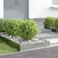 vidaXL Περίγραμμα γκαζόν 6 τμχ. 60 x 60 x 13 εκ Γαλβανισμένος Χάλυβας