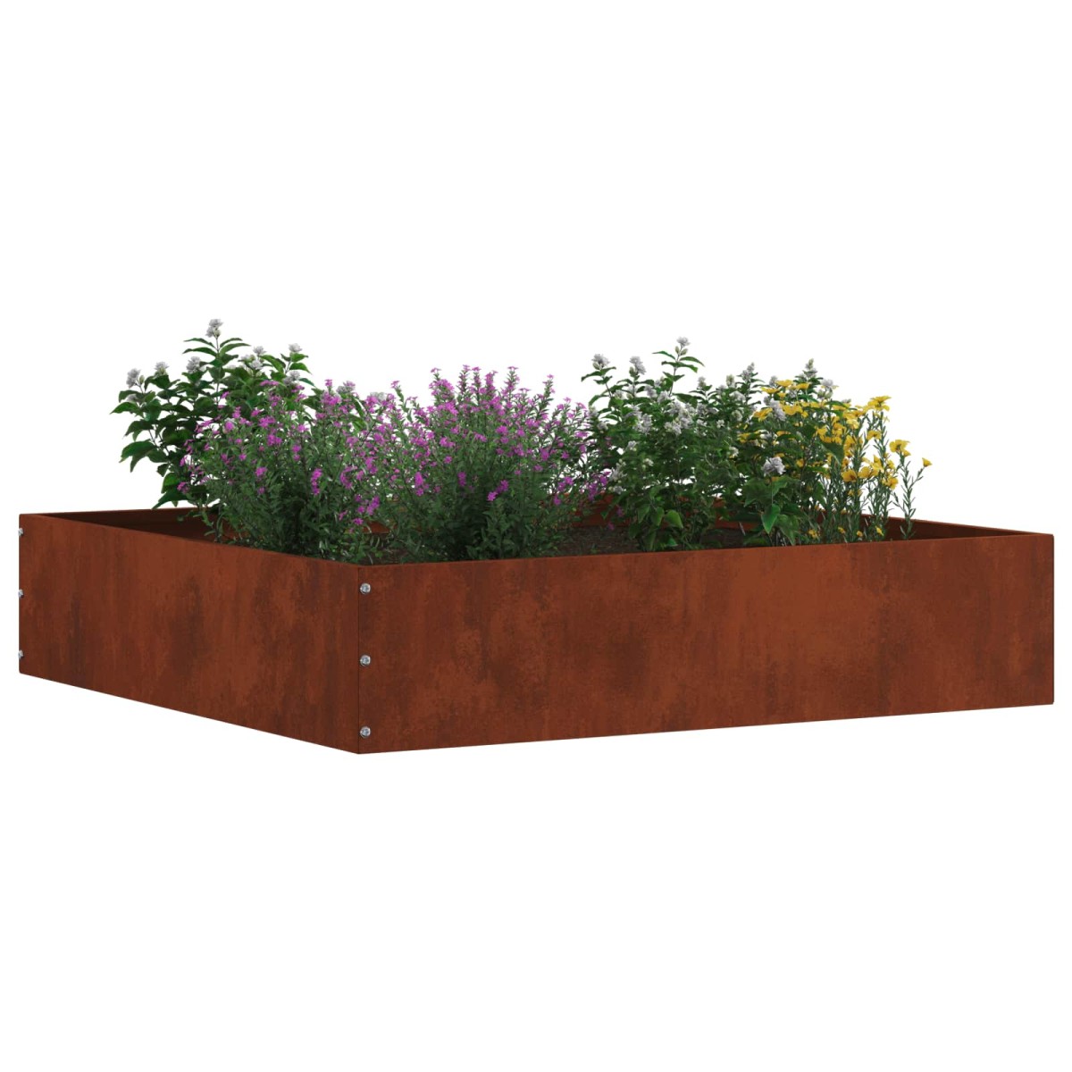 vidaXL Περίγραμμα γκαζόν 6 τμχ. 60 x 60 x 13 εκ Σκ rusty