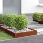 vidaXL Περίγραμμα γκαζόν 6 τμχ. 60 x 60 x 13 εκ Σκ rusty