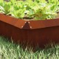 vidaXL Φράκτης σαλιγκαριών 13,5 x 13,5 x 25 εκ Σκ rusty