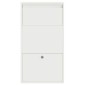 vidaXL Θυρίδα Πακέτων με αποθήκευση Λευκό 44 x 22 x 82 εκ. Ατσάλι