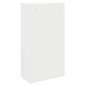 vidaXL Θυρίδα Πακέτων με αποθήκευση Λευκό 44 x 22 x 82 εκ. Ατσάλι