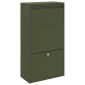 vidaXL Θυρίδα Πακέτων με πόρτα Ελιά Πράσινη 44 x 22 x 82 εκ. Ατσάλι