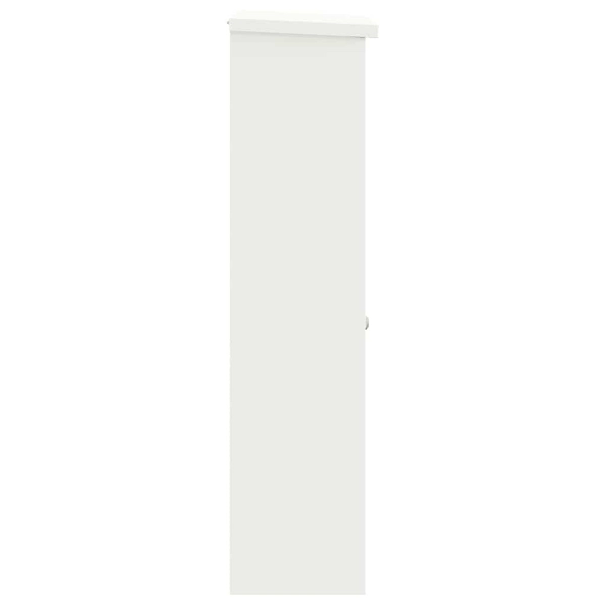 vidaXL Θυρίδα Πακέτων με αποθήκευση Λευκό 44,5 x 29 x 110,5 εκ Ατσάλι