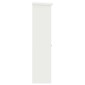 vidaXL Θυρίδα Πακέτων με αποθήκευση Λευκό 44,5 x 29 x 110,5 εκ Ατσάλι