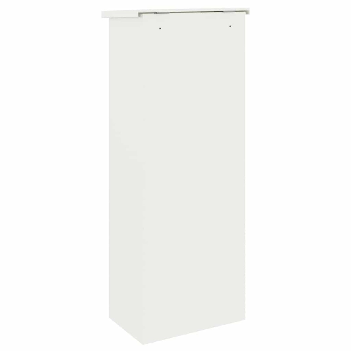 vidaXL Θυρίδα Πακέτων με αποθήκευση Λευκό 44,5 x 29 x 110,5 εκ Ατσάλι