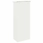 vidaXL Θυρίδα Πακέτων με αποθήκευση Λευκό 44,5 x 29 x 110,5 εκ Ατσάλι